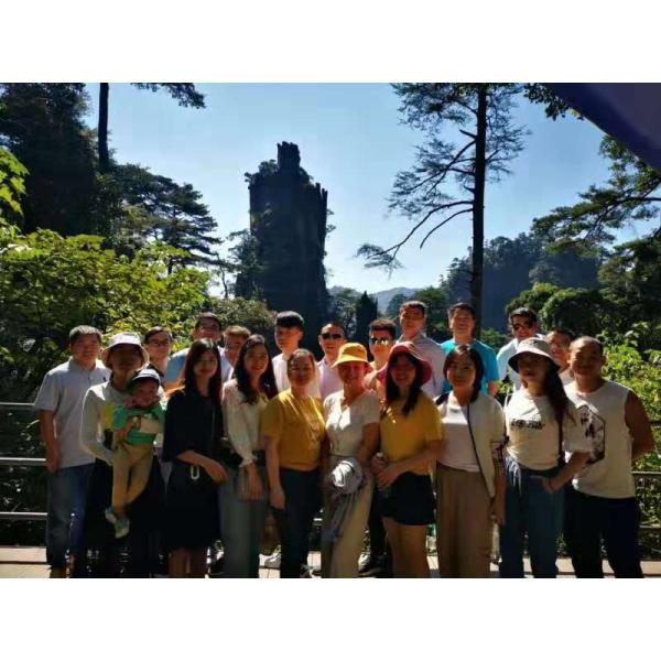 Нержавеющая сталь шарикового клапана высокого давления ОД Ферруле трехсторонняя 3000 Пси силы руководства