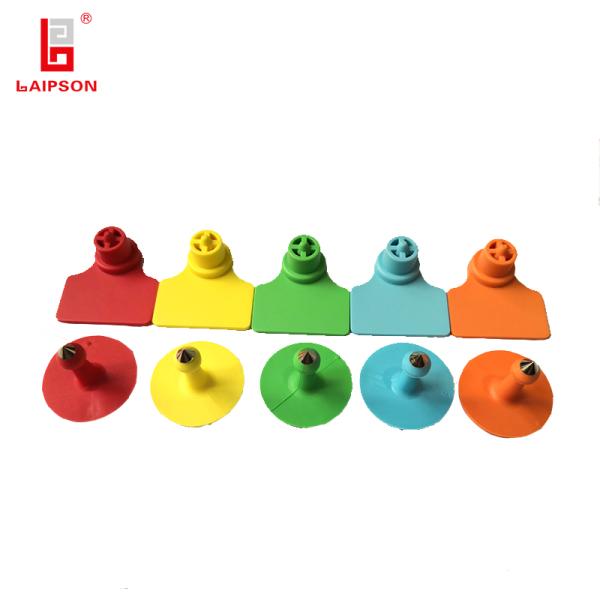 Etiquetas de oído del ganado de la vaca 34M M 32M M con TPU ULTRAVIOLETA anti