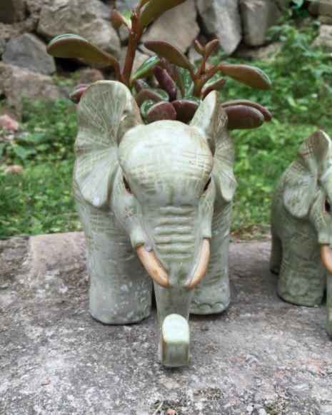 Succulent Creative Animals Wild Elephant Plant Flowerpots