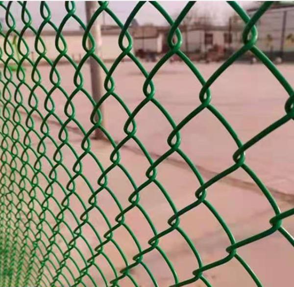 O verde galvanizou a cerca revestida plástica do elo de corrente de 6 calibres 10 pés