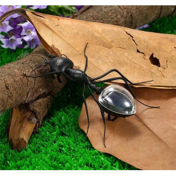Big Ant Toys Black Science Novelty Gift Creative Toys Plastic Promotional Solar Toy Ant