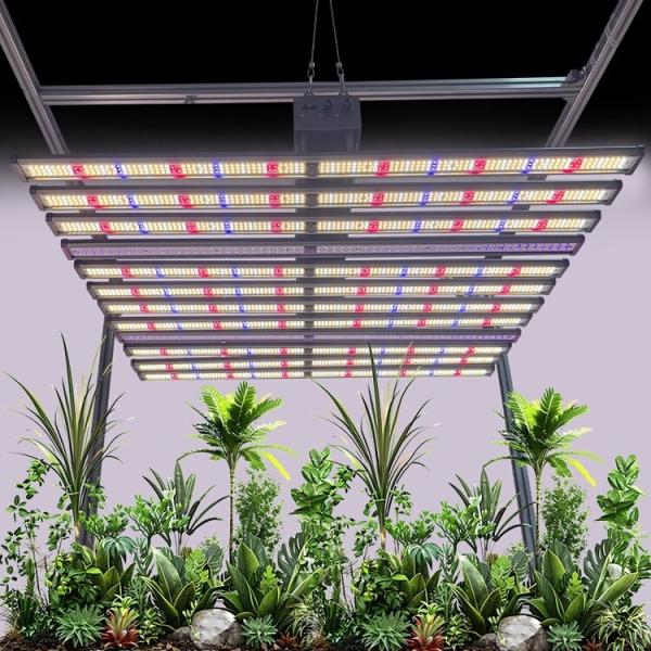 1060W 10 Bar LED Grow Light UV IR Full Spectrum LED Plant Light For VEG BLOOM