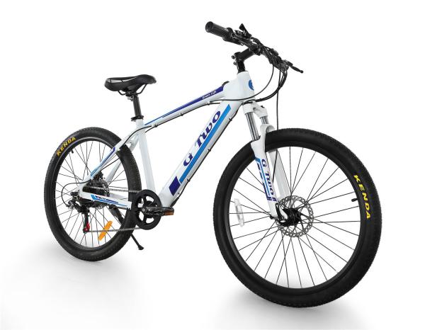 48V 10AH Lithium Battery Electric Bicycle 250W 350W Rear Front Disc Brake  Mountain Bike