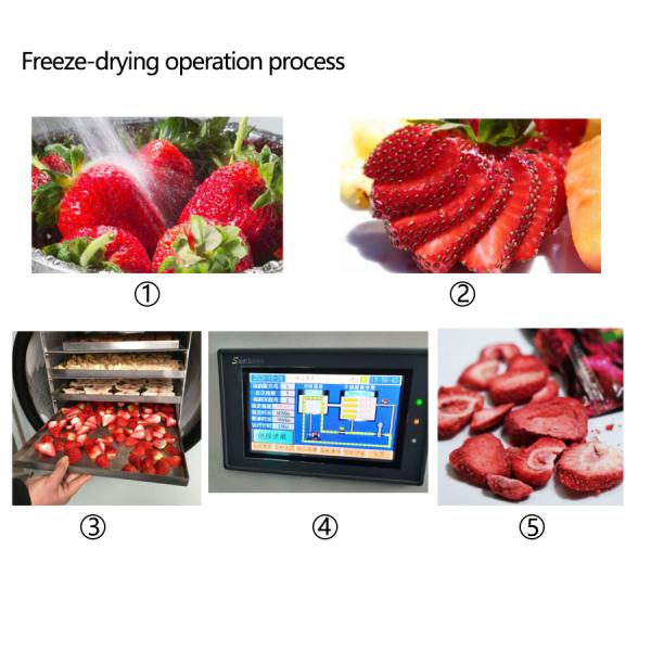 Vacuum Freeze Dryer Lyophilizer Strawberry Blueberry Fruit Freeze Dry Machine