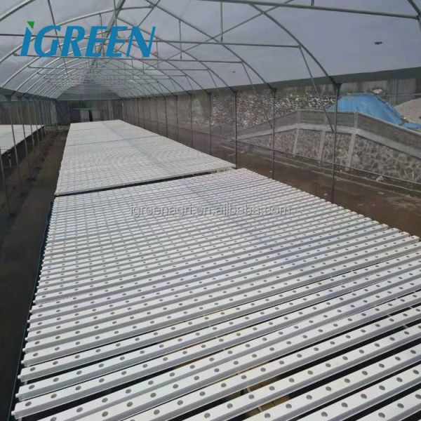 IGreen Multi-Span Agricultural Greenhouse with PE Film Cover Single Layer Customizable Size