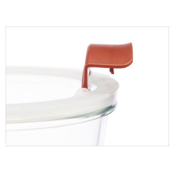 IKOO Dual-Lock Glass Food Container with Transparent Glass Lid