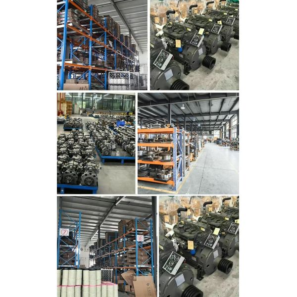 Electronic Unit Pump 0414755118 Diesel Fuel Injection Pump for Excavator Engine