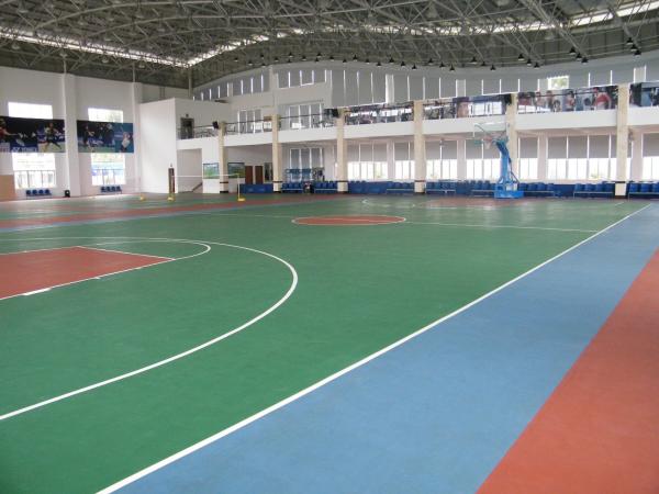 Athletic Runway EPDM Rubber Granule 2mm - 4mm Coloured Rubber Crumb