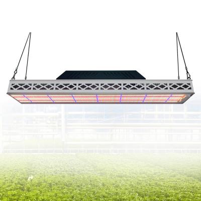 Soccer Field Sports Top LED Grow Lights Customized 640W LED Grow Light Waterproof IP67