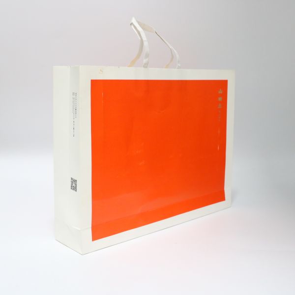 Printing Customized Custom Printed Clothes and Shoes Paper Bags with Customized Design and CMYK/Pantone Colors