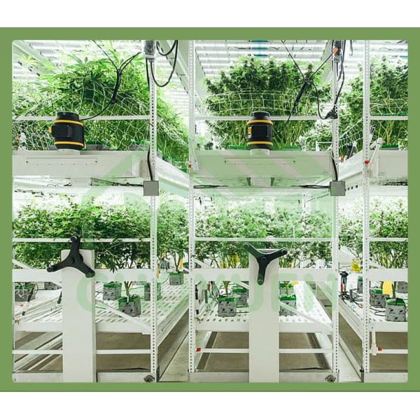 Hydroponic Multi Layer Vertical Grow Shelf System ABS Cover