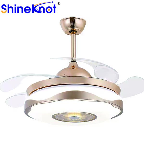 Adjustable E27 LED Bulbs for Remote Control Modern Ceiling AC Motors Lights in Homes