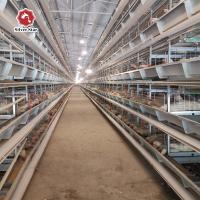 Type 54 oiseaux/ensemble de la cage H de ferme avicole de couche d'acier inoxydable