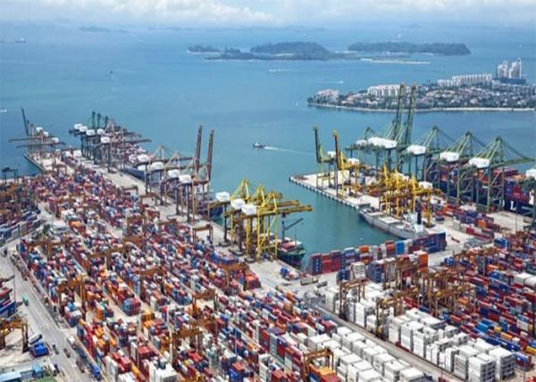Speedy DDU Shipping From Foshan China To San Jose California USA