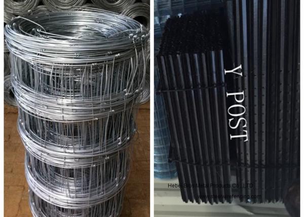 Cattle Farming Fence / Hot-Dipped Filed Wire Mesh Fence For Poultry