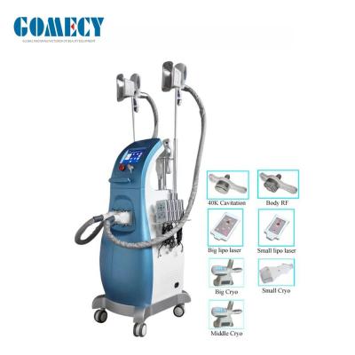 Máquina multifuncional do emagrecimento de Cryolipolysis para a cara e o corpo