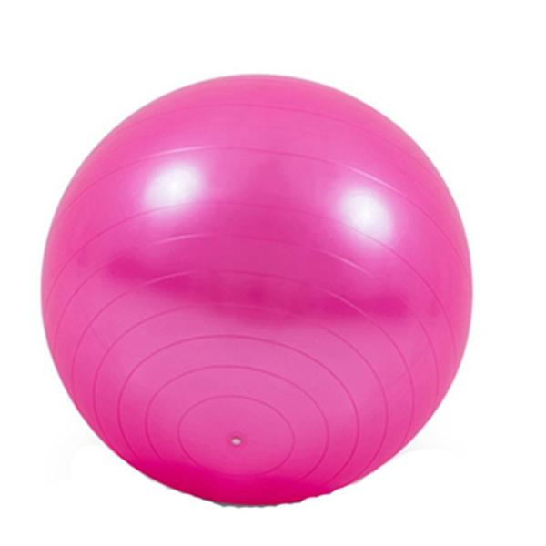 Gravity Heavy Duty Exercise Ball 75cm