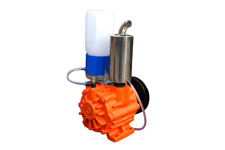 роторный вакуумный насос лопасти 220V