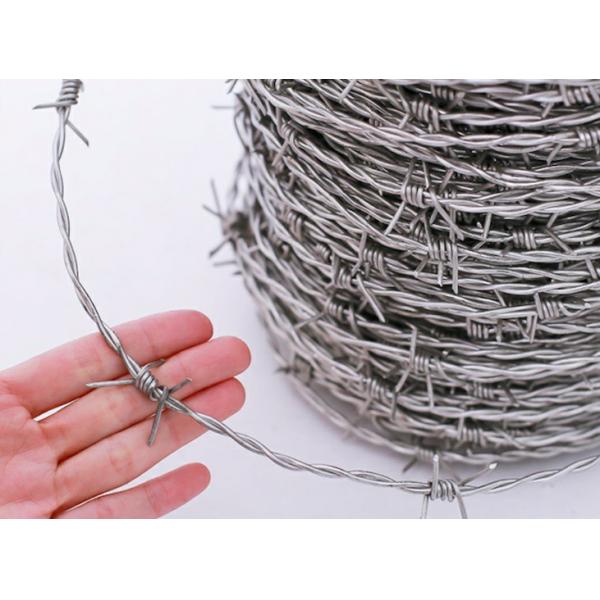 Security Fence 400m 500m Hot Dipped Galvanized Barbed Wire 5kg 50kg Per Coil