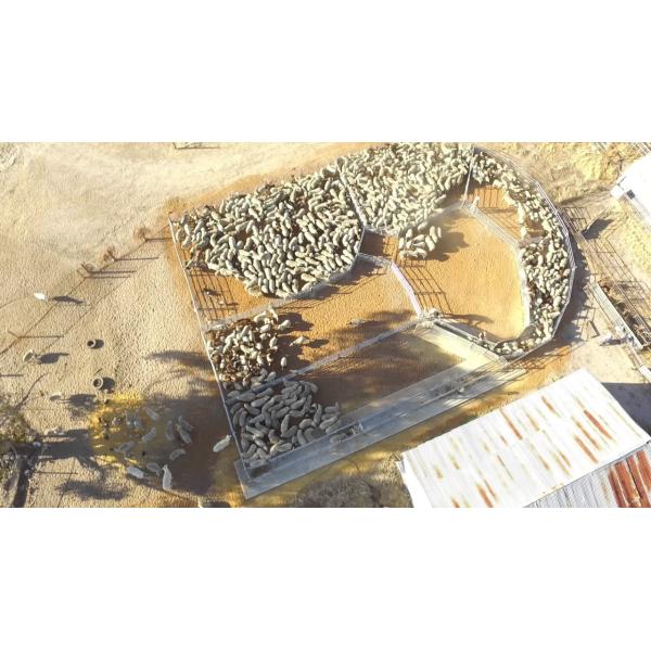 200 Head Sheep Yard Panels Pre Hot Dip Galvanized Strong Permanent