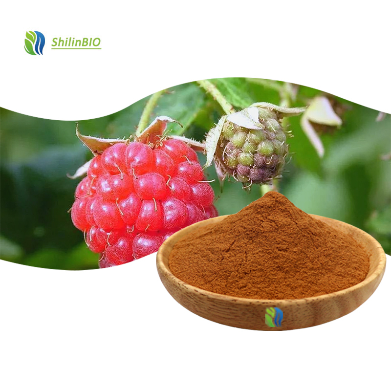 High Quality 10:1 20:1 Fructus Rubi Fruit Extract Rubus Idaeus Extract Raspberries Extract Powder