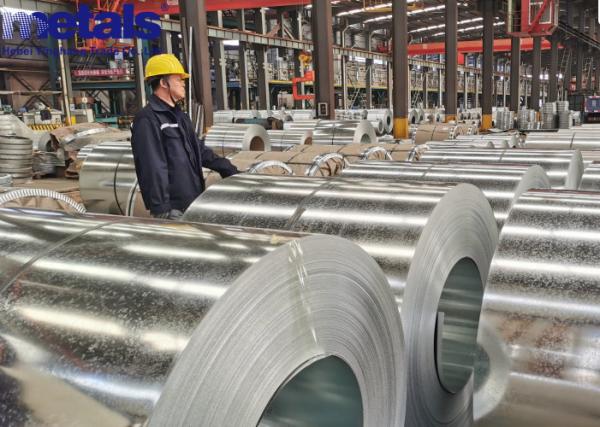 DX51D Galvanized Coil Z20g For Automobile Construction Household Appliances