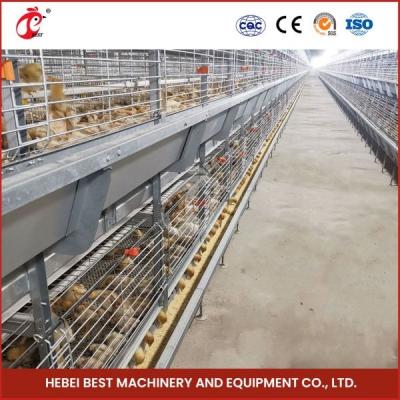 Sobrevivência mais alta Rate Ada dos pássaros dias de idade de Chick Brooding Cage Equipment 208 da camada
