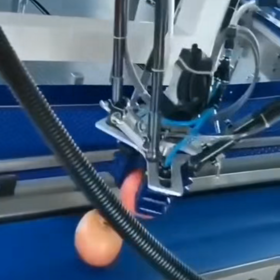 Boost Packaging Line Speed by 50% with delta pick and place for agricultural byproducts
