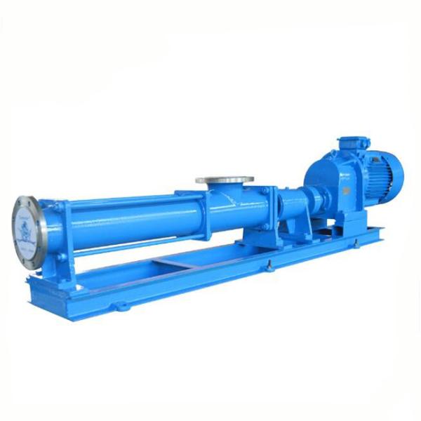 High Pressure Sludge Screw Pump Manufacturers Multi Stage Stainless Industrial