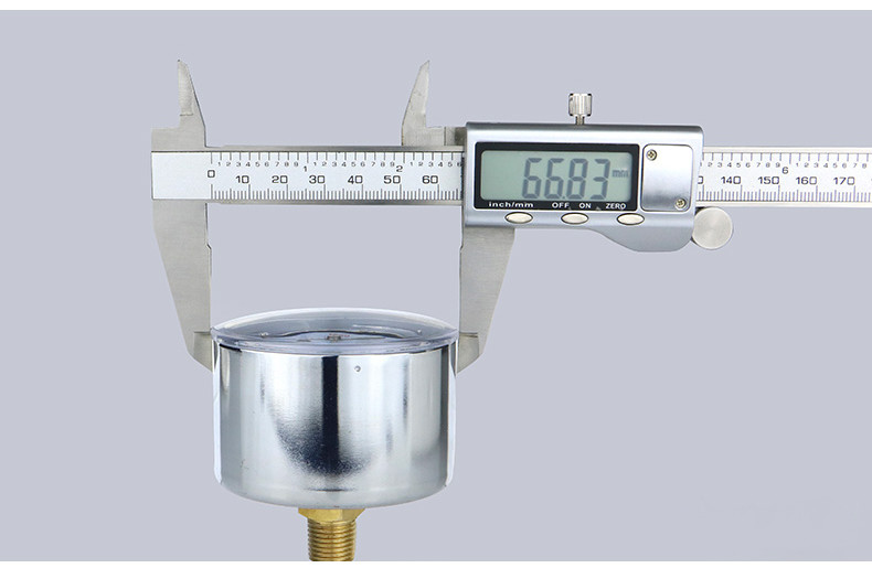 Copper Joint 2.5-100kpa Capsule Pneumatic Pressure Gauges Manometer with ZG1/4 Thread
