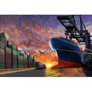 Air Freight DHL FEDEX UPS International Shipping From China To Canada
