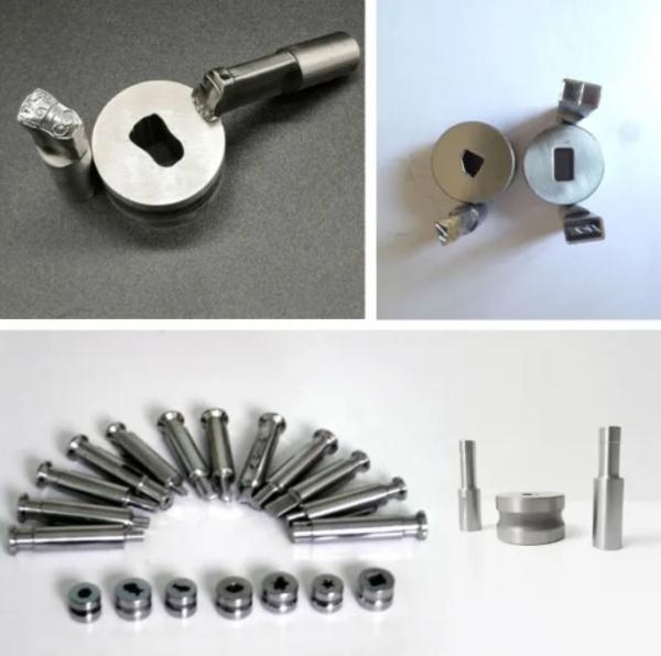 Tdp 1.5 Tdp 5 Tdp 6 Food Grade Steel Tablet Punch Press Die