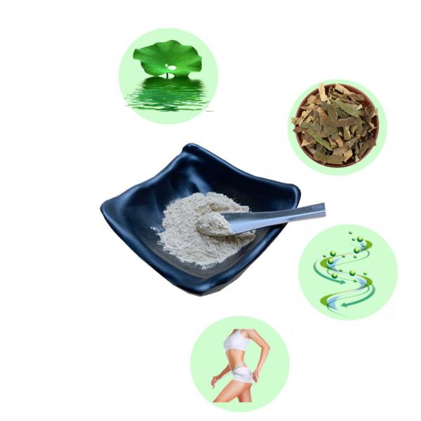 Commercial Lotus Flower Extract 50% Nuciferine Adjust Blood Lipid No Side Effect