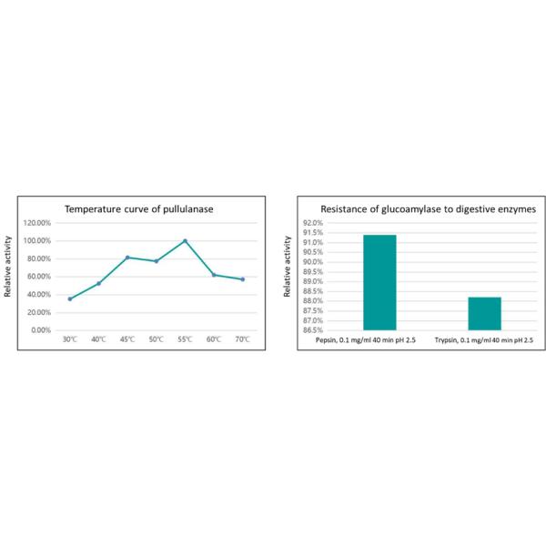 SunPull улучшает энзим Pullulanase энзимов свиньи удобоваримости романный