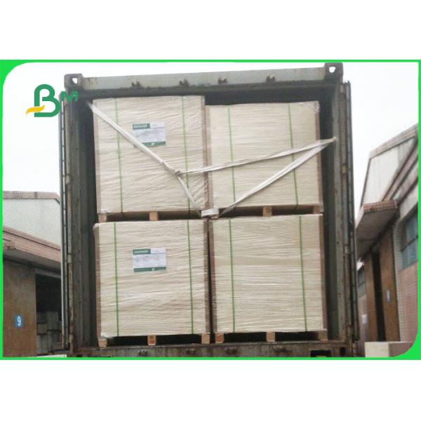 Waterproof 300gsm + 18g PE Cup Stock Paper For Hot / Cold Drink 740mm 800mm