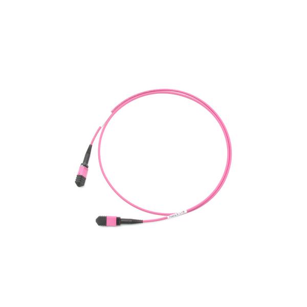 24 fibres MPO femelle aux mètres de coutume de corde de correction de la femelle OM4 3.0mm LSZH MPO de MPO
