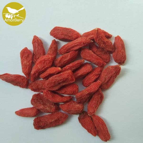 Chinese Goji Berry Dried Fruit Goji Berries/Goji Berry goji certified organic ningxia goji berry dried fruit
