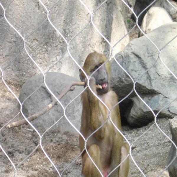 Stainless Steel Wire Rope Mesh,Inter-Woven Rope Mesh