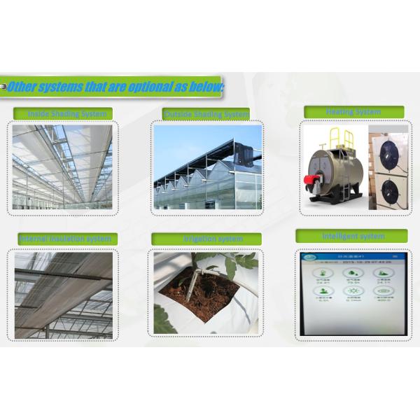 Easy Growing Hydroponics Greenhouse Lettuce Vegetable Greenhouse