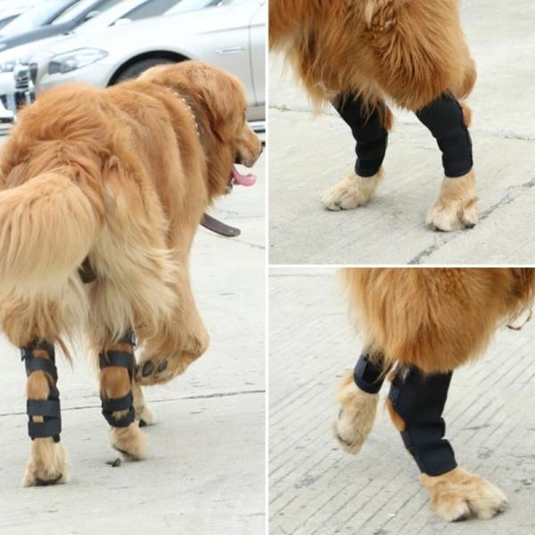 Pet Knee Pad 