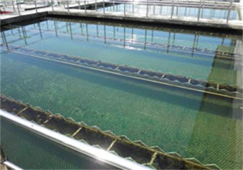 Coal Washing Wastewater Treatment System Sewage Treatment Simple Operation