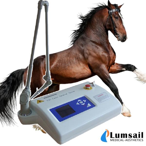 ODM Medical Surgical CO2 Fractional Laser Machine