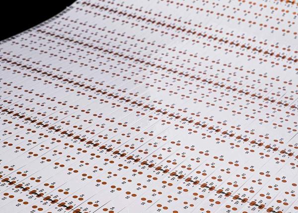 Hot sale FPCB - BARE - 2835-30leds/M-8*503-12V dobule white board for Led strip FPCb