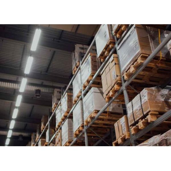 International Export Import Freight Forwarder Professional LCL FCL Services