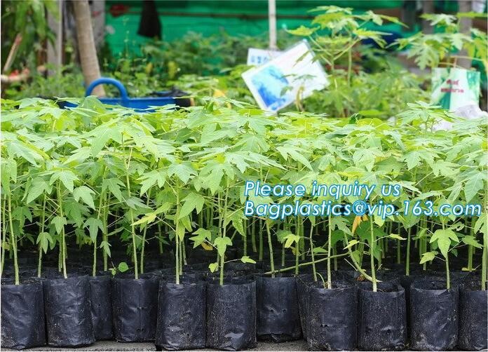 100% Biodegradable мульчирует, биологические процессы ухудшения, коробка плода, цветочный горшок, ткань джута, культивируя сумку, сеть джута, сеть