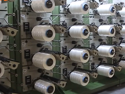 Shenzhen Xinxing Southern Industrial Development Co., Ltd.