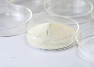 Lipase Bakery Enzyme Catalyze The Hydrolysis Of Lipids