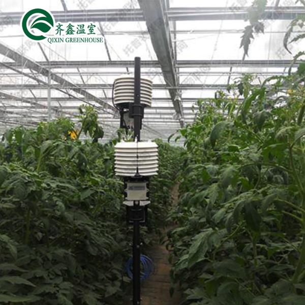 Large Steel Greenhouse Structure Shed Design With 150/200micro PE Film Covering