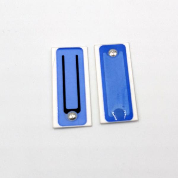 200mg/Hr Ozone Ceramic Plate Eliminates Odors For Air Ozonators