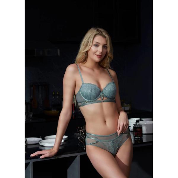 Соберите дам наборы нижнего белья шнуруют сексуальные наборы бюстгальтера провисая женщин доказательства